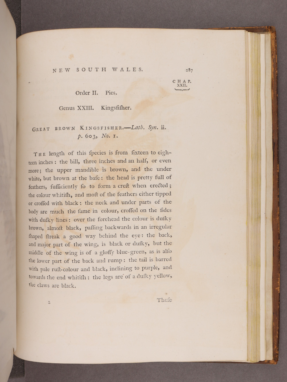 Page 287